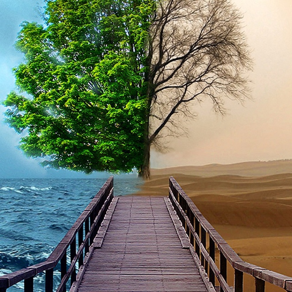 Meet your Posher, Rita